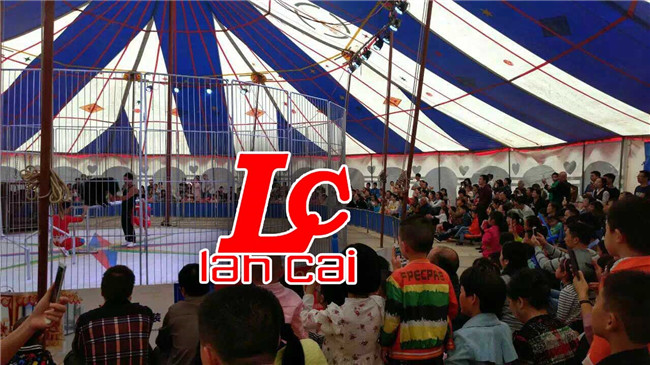 恒大綠洲首屆馬戲節